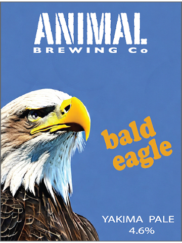 Animal, XT - Bald Eagle