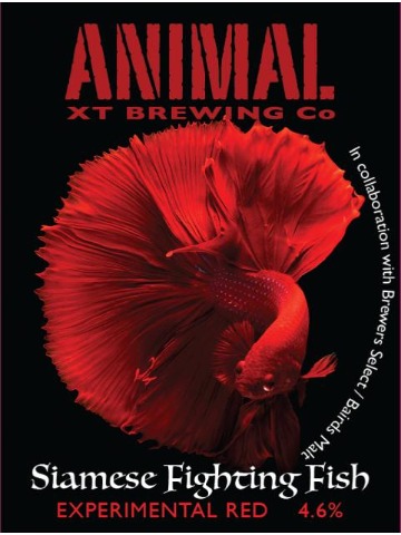 Animal, XT - Siamese Fighting Fish