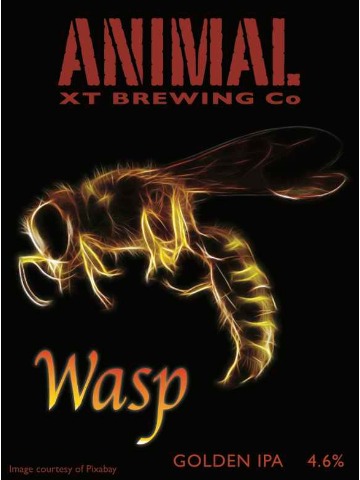 Animal, XT - Wasp