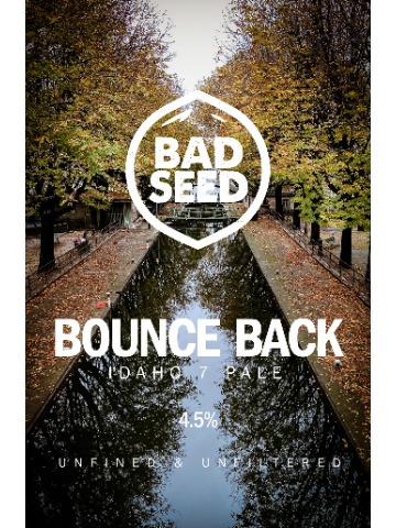 Bad Seed - Bounce Back
