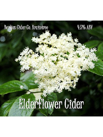 Berties - Elderflower Cider