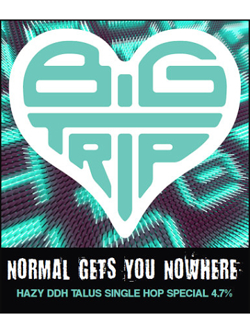 Big Trip - Normal Gets You Nowhere