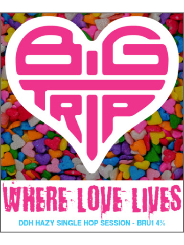 Big Trip - Where Love Lives