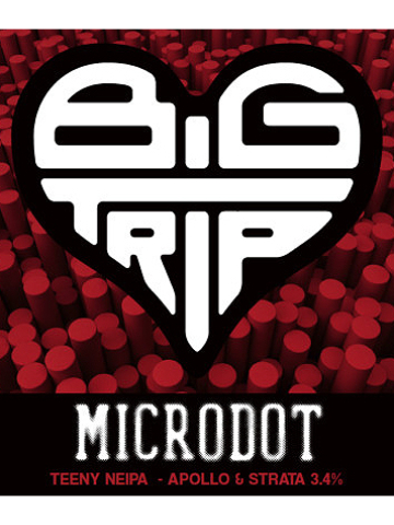 Big Trip - Microdot