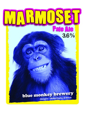 Blue Monkey - Marmoset