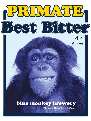Blue Monkey - Primate