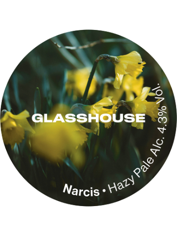 GlassHouse - Narcis