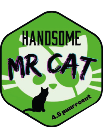 Handsome - Mr Cat