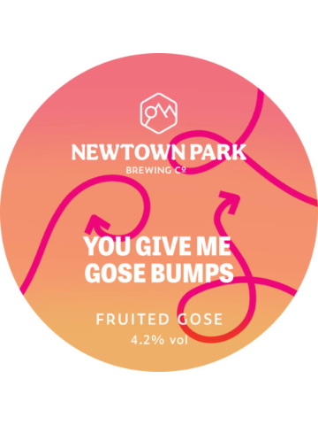 Newtown Park - You Give Me Gose Bumps 