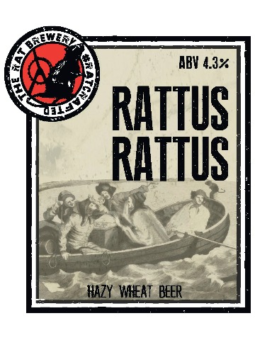 Rat - Rattus Rattus