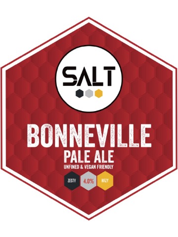 Salt - Bonneville