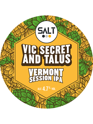 Salt - Vic Secret & Talus