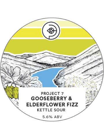 Stewart - Gooseberry & Elderflower Fizz