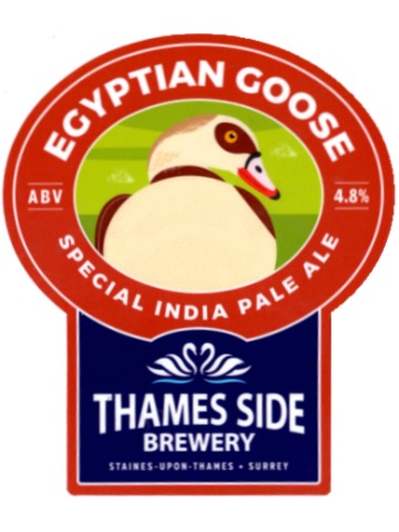 Thames Side - Egyptian Goose