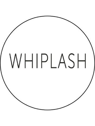 Whiplash - Do You Want To Touch Me