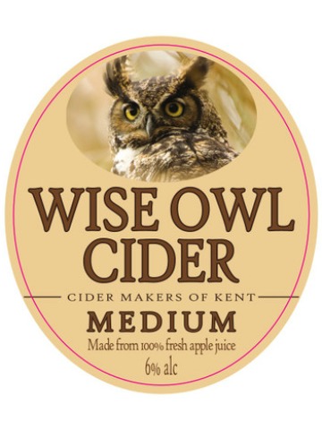 Wise Owl - Medium